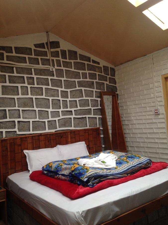 Seraj International Manali  Luaran gambar